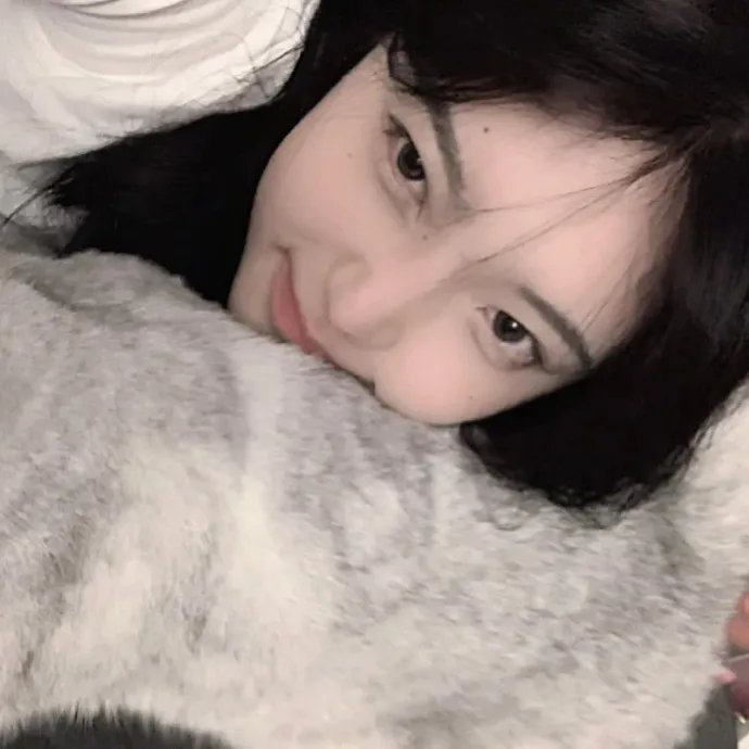 猫和老鼠在纽约
