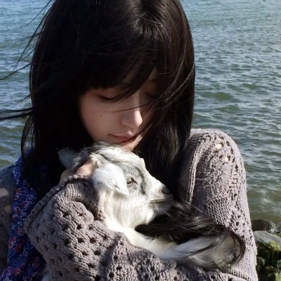 野探哈莉第四季